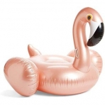 Ginkago ime Deniz Simidi (Flamingolu)