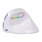 DELUX Wireless Small Vertical Mouse