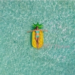 dreambuilderToy ime Deniz Yata (Ananas)