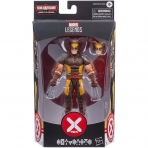 Marvel  Legends Wolverine Aksiyon Figr(15.2cm)