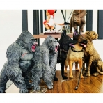 Higherbros Gorilla King Kong Toys Aksiyon Figr(17.7 cm )