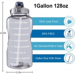 EYQ 3785 mL Plastik termos(Gri)