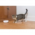 PetSafe Otomatik Lazer Ik Kedi Oyuncak