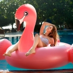 TURNMEON Deniz Yata(Flamingo)