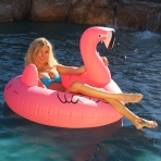 GoFloats Deniz Simidi(Flamingo)