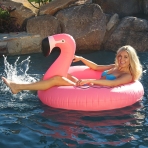 GoFloats Deniz Simidi(Flamingo)