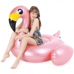 Jasonwell Deniz Simidi (Flamingo)