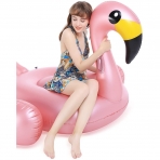 Jasonwell Deniz Simidi (Flamingo)