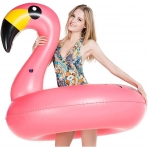 Jasonwell Deniz Simidi (Flamingolu)