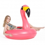 Jasonwell Deniz Simidi (Flamingolu)