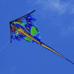 x kites Ejderha Uurtma (Renkli, 53cm)