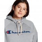 Champion Kadn Plus Kaponlu Sweatshirt (Lacivert)