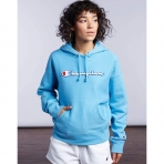 Champion Kadn Kaponlu Sweatshirt (Gri)