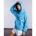 Champion Kadn Kaponlu Sweatshirt (Gri)