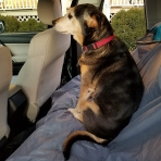 Artemis Outdoor Essential Kum Ge�irmez Plaj �rt�s� (Mavi)