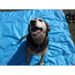 Artemis Outdoor Essential Kum Ge�irmez Plaj �rt�s� (Mavi)