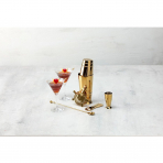 Fortessa 5 Par�a Shaker & Kokteyl Seti