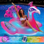 Aqua Ikl Tavuskuu ime Havuz Yata