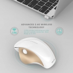 Jelly Comb Beyaz/Gold Wireless Ergonomik Vertical Mouse