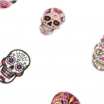 Jasion Kuru Kafa Sticker kartma (60 Adet)