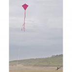 In the Breeze U�urtma