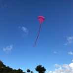 In the Breeze U�urtma