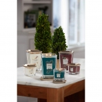Yankee Candle Elevation Koleksiyonu Kavanoz Mum (Frosted Fir)