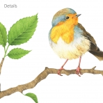 Decowall Duvar Sticker (Ku�)
