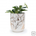 STYLED SETTINGS Tezgah st Kaklk (Gold)