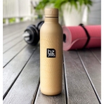 bzyoo H2GO Yaltml Paslanmaz elik Termos(Gold)(500ml)