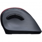 SANWA Bluetooth Dikey Ergonomik Mouse (Krmz)