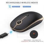 Jelly Comb 2.4G Wireless Mouse (Siyah/Alt�n)