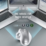 Jelly Comb 2.4G Wireless Trackball Mouse(Gm)