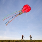 Flyerrart Naylon Ahtapot U�urtma (21 cm)