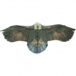 JOYIN Kartal Uurtma (190 cm)