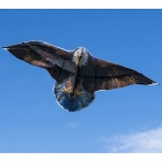 JOYIN Kartal Uurtma (190 cm)