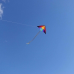emma kites Delta U�urtma (Renkli) (150cm)