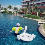 HBDL ime Bebek Simidi (Kuu) (6-36 Ay)
