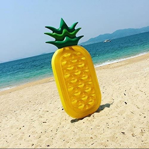 dreambuilderToy ime Deniz Yata (Ananas)