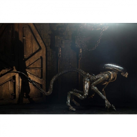 NECA  Aliens Alien 3 Dog Alien Ultimate 7IN Aksiyon Figr(29cm)