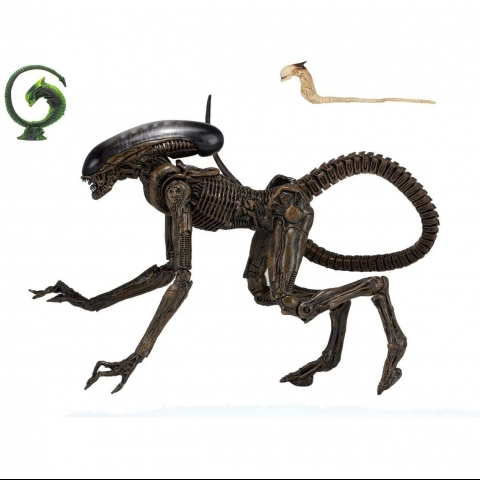 NECA  Aliens Alien 3 Dog Alien Ultimate 7IN Aksiyon Figr(29cm)