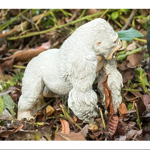 DDWT King Kong Aksiyon Fig�r(14cm)