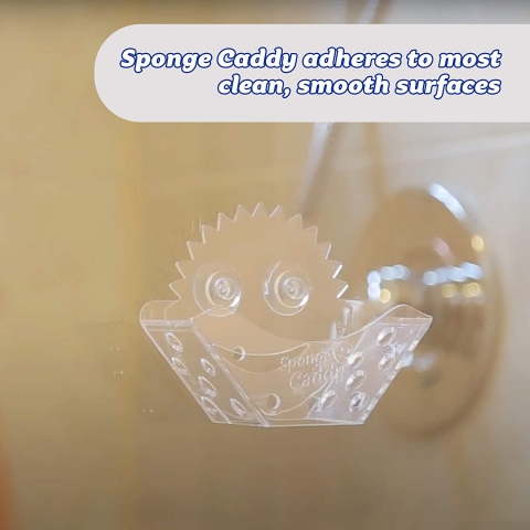 Scrub Daddy Bulak Sngeri Kutusu