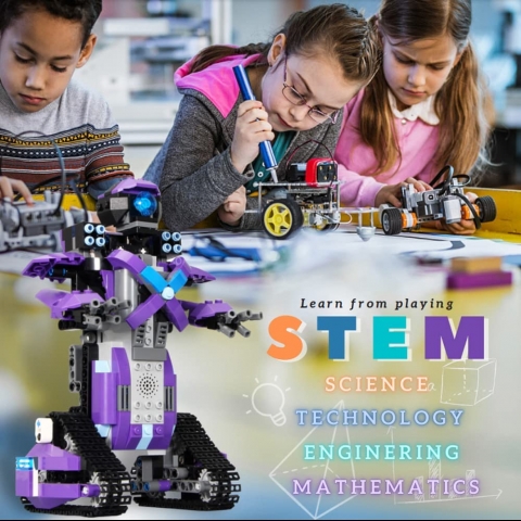 eirix STEM Robotik Kodlama Seti (Mor)