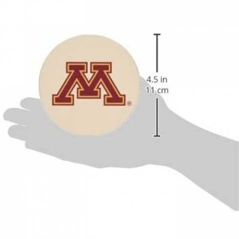 Thirstystone Bardak Altl (University of Minnesota, 4 Adet)