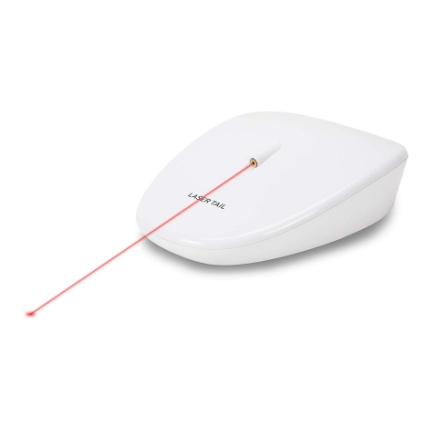 PetSafe Otomatik Lazer Ik Kedi Oyuncak