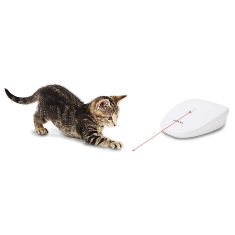 PetSafe Otomatik Lazer Ik Kedi Oyuncak