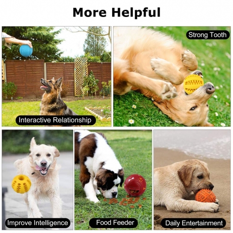 PrimePets Kpek Eitici Oyuncak Seti ( 4 Adet)