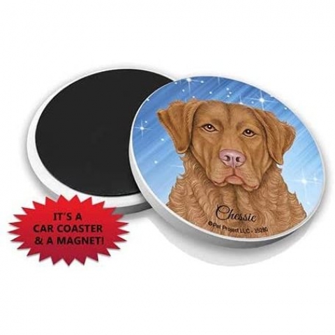 SJT ENTERPRISES Ara i Bardak Altl (Retriever, 2 Adet)