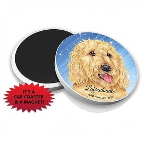 SJT ENTERPRISES Ara i Bardak Altl (Labradoodle, 2 Adet)